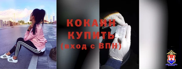 спиды Горняк