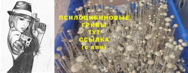эйфоретик Вязьма