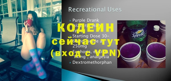 спиды Горняк