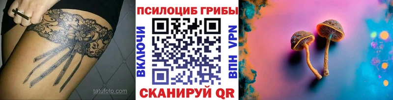 Галлюциногенные грибы Psilocybe  Купить где  Татарск 